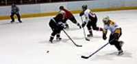 dgt_hockey (23)